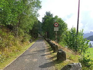 Vegen til Tronåsen